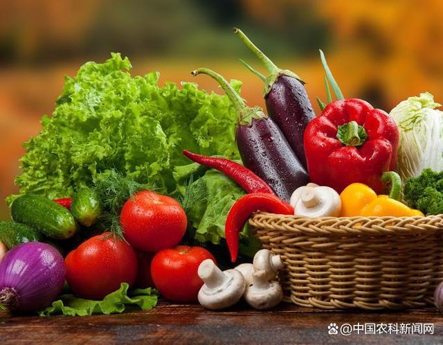 秋冬季节是"菜篮子"产品消费旺季,当前我国果菜肉蛋等农产品生产情况