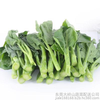 佳乐东莞市蔬菜配送东莞虎门镇农产品配送虎门送菜公司图片_高清图_细节图