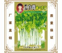 白骨芹菜产品信息