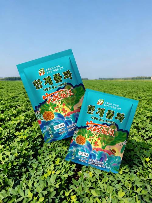 韩国进口水溶肥厂在大棚蔬菜种植中的应用场景与选型关注点