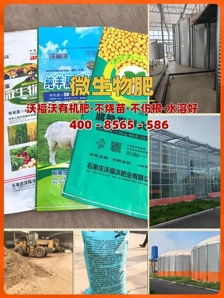 惠州园林苗圃瓜果蔬菜底肥制造厂